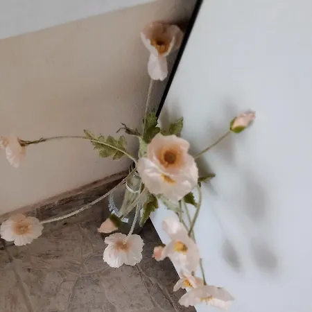 Apartment Hermes Nafplio